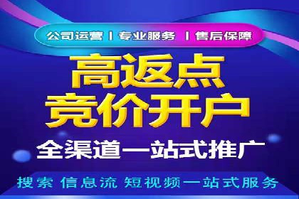 探索sem推广竞价的无限可能：成功案例集锦